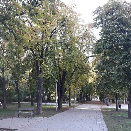 Liget Apartman Apartament
