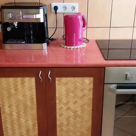 Daire Liget Apartman Budapeşte