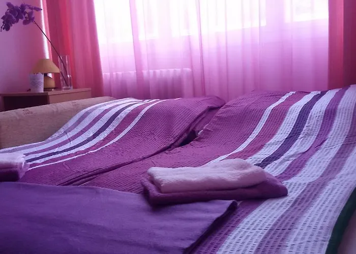 Liget Apartman 부다페스트