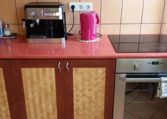 아파트 Liget Apartman 부다페스트