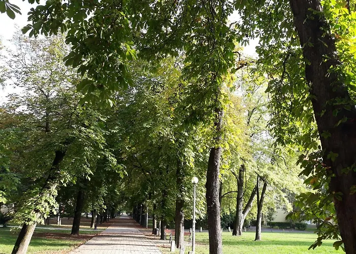 Liget Apartman 아파트 부다페스트